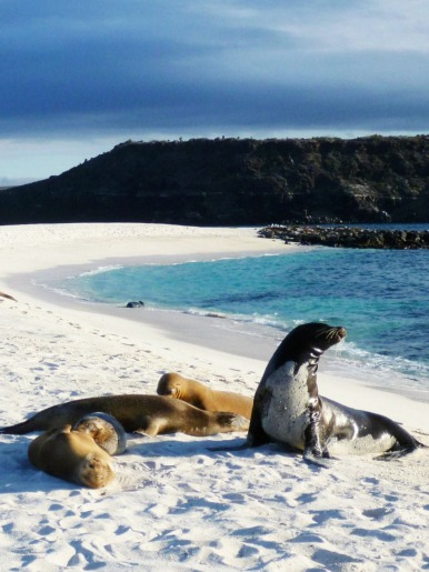 mosquera-islet-galapagos-oniric