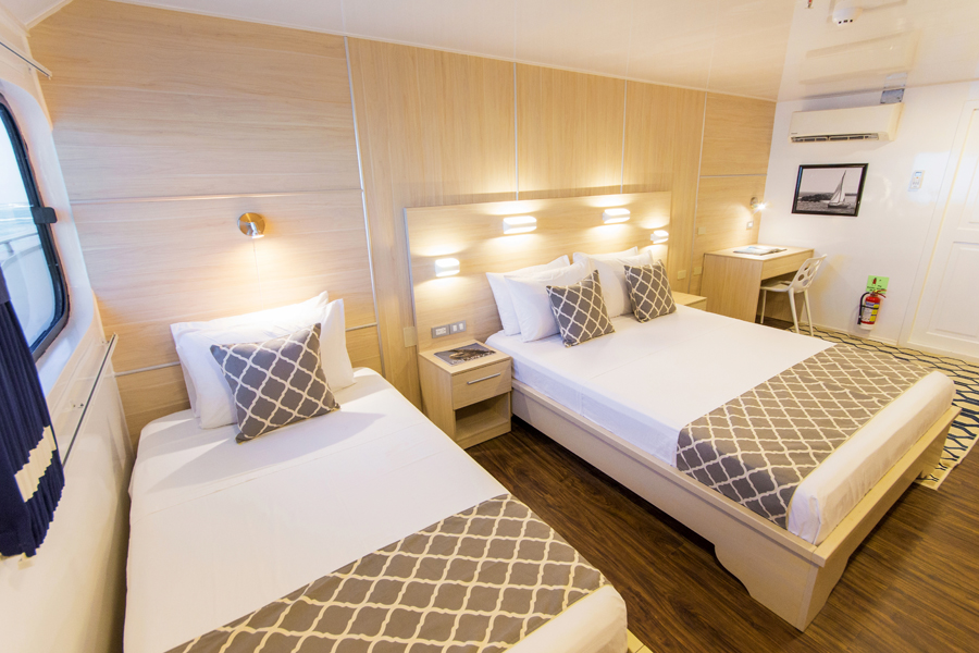 solaris-galapagos-islands-yacht-cabin